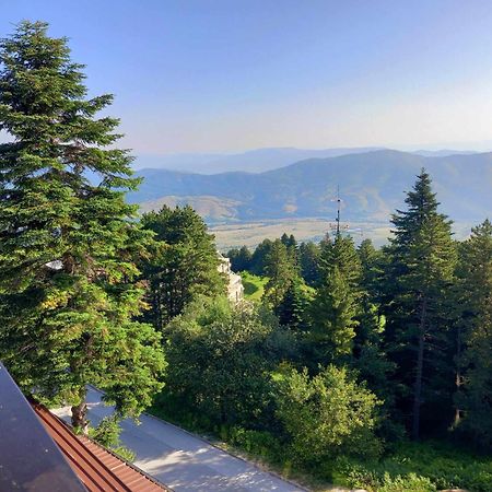 Hotel Molika Magarevo Екстериор снимка